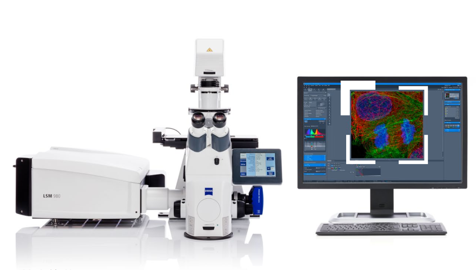 ③激光共聚焦显微镜
